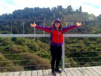 Hapuwhenua viaducts